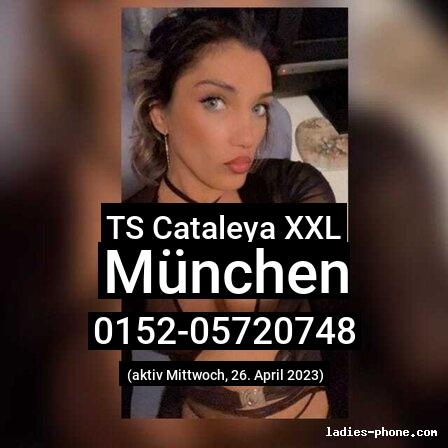 Ts cataleya xxl aus München